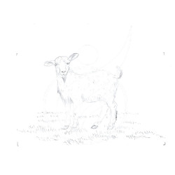 Imagem digital de Cabra para Moldura Retangular - Preto e Branco