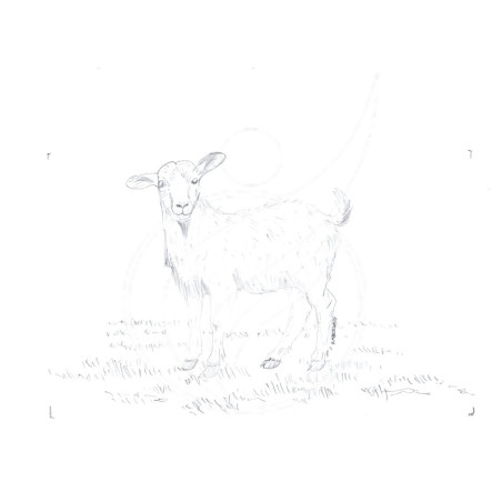 Imagem digital de Cabra para Moldura Retangular - Preto e Branco