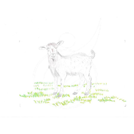 Imagem digital de Cabra para Moldura Retangular - Cor