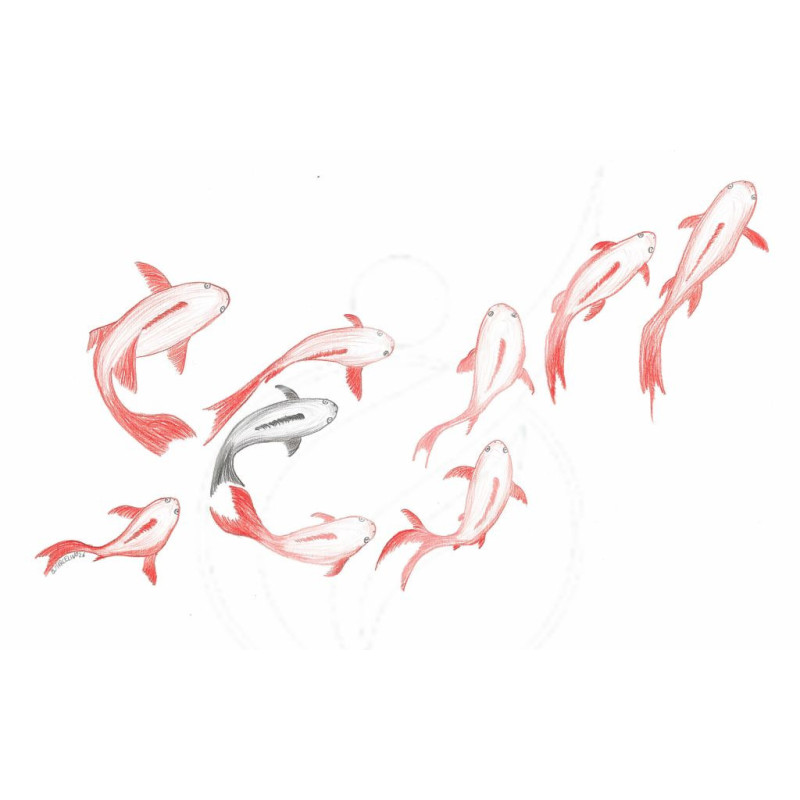 Imagem de Peixes - Cor