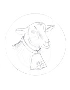 Artigos para Feng Shui